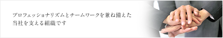 プロフェッショナリズムとチームワークを兼ね備えた当社を支える組織です